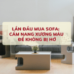 LẦN ĐẦU MUA SOFA: CẨM NANG XƯƠNG MÁU ĐỂ KHÔNG BỊ HỚ
